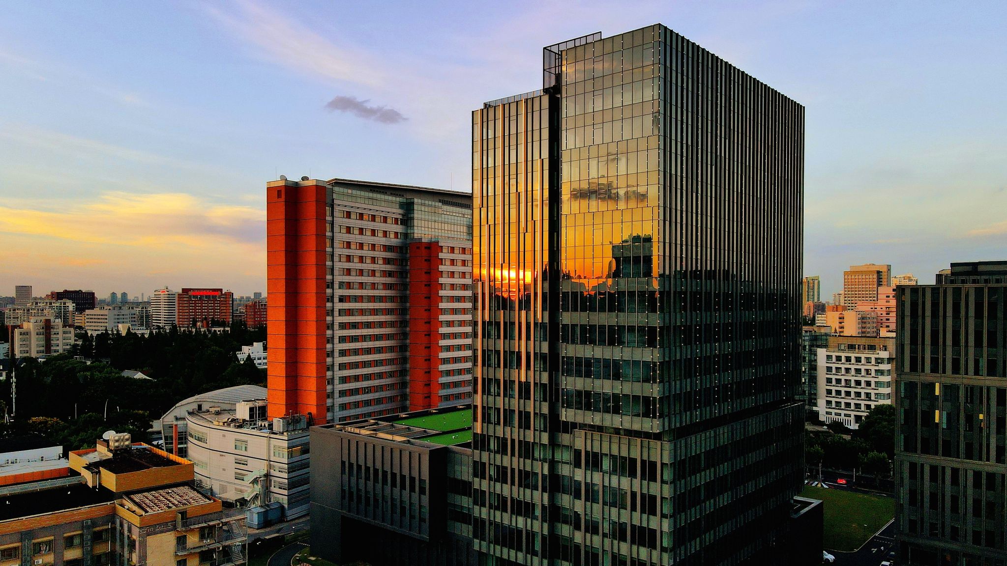 重磅推出！新加坡管理大学携手福利姬
：区域首个科技导向的 DBA(Tech) 招生启动！